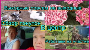 22-06-2026/Краснодарский край/Живём на юге/Поездка в центр/Обзор покупок/В магазине,красота/Работаем