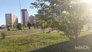 Прогулка вечерняя | Олимпийский парк