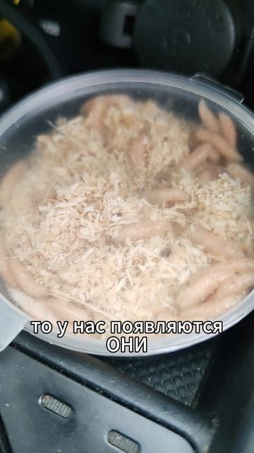 Завтра на рыбалочку