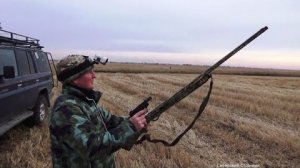 Пол мешка уток за час. Охота на полосе с махокрылами.
