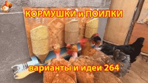 Кормушки и поилки для кур своими руками 264 🪚✂️ Пошаговая инструкция как сделать 🐔 🐓❣️
