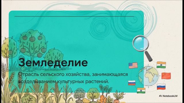 География 10 класс 30 Сельское хозяйство