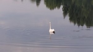 1000048357.mp4
