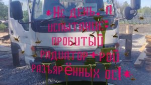 *Не день ,А испытание:пробитый радиатор +рой разъярённых ос !*