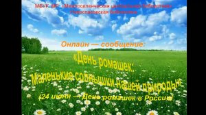 Онлайн-сообщение «День ромашек: маленькие солнышки нашей природы»