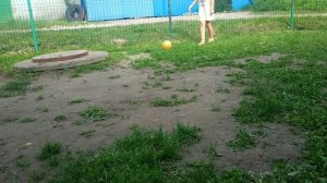 футбол ⚽⚽⚽