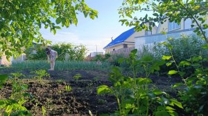 ВЫШЛА НА РАБОТУ/ОСТАНОВИЛА ПОЛИЦИЯ/ГОТОВЛЮ ПАСТИЛУ/ЖИЗНЬ В ДЕРЕВНЕ