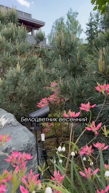 ГОТОВОЕ РЕШЕНИЕ ДЛЯ ВАШЕГО САДА