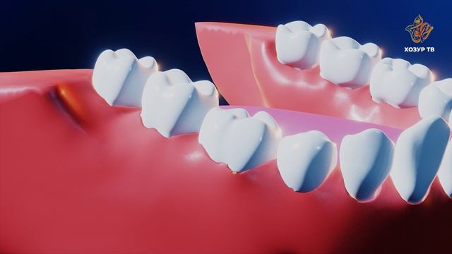 Ни өчен тешләрне чистартырга кирәк? | Гаҗәеп дөнья серләре. Кеше