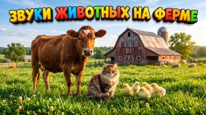 Учим животных на ферме 🐮 Звуки животных для детей!