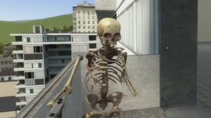 mem died