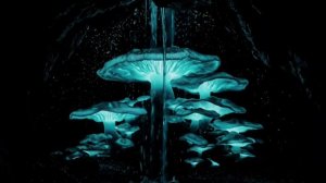 Fall Asleep Fast 🌙 Calm mind and anxiety reduction Glowing Cave Ambience for Deep Sleep & Relaxatio