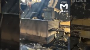 В Елабуге из горящего павильона эвакуировали 100 кошек