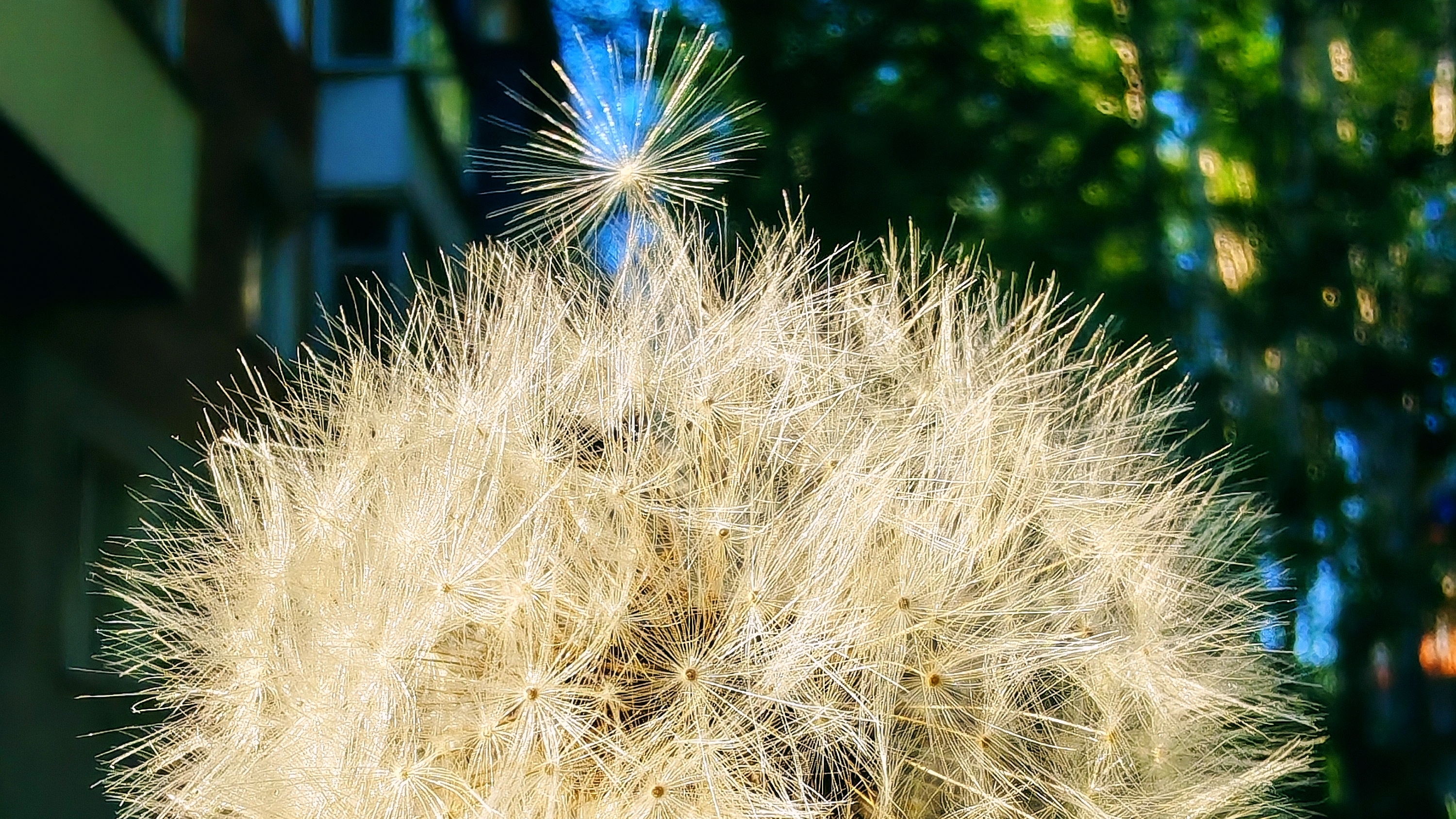 Прекрасная природа