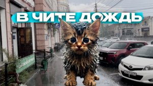 Большая вода в Чите: поплывет ли город после дождей?