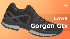 Ботинки Lowa Gorgon Gtx