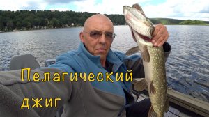 ЩУКА на ДЖЕРКИ и КРУПНУЮ РЕЗИНУ.