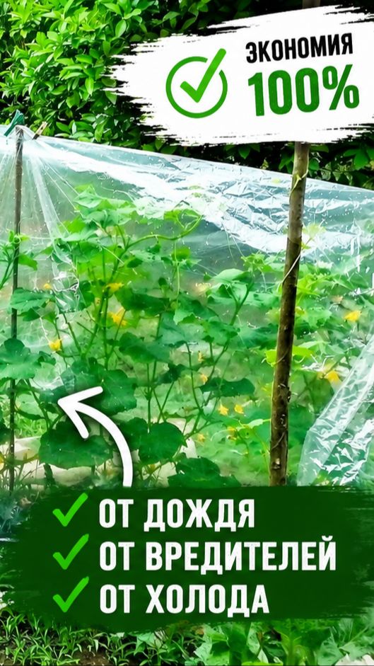 🥒 Накрыл грядки и не пожалел смотреть онлайн