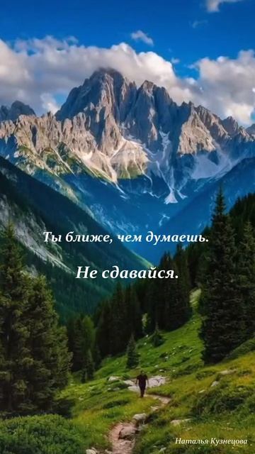 Не сдавайся