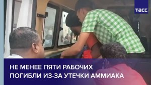 Не менее пяти рабочих погибли из-за утечки аммиака
