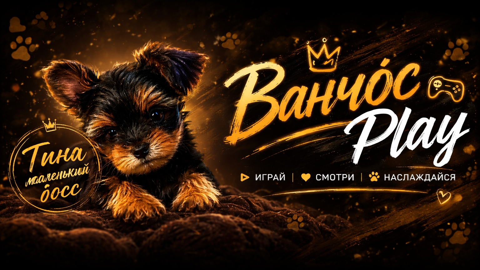 Мои питомцы знакомьтесь🥳 Тина(щенок) и Луна(кошка)🐶🐱