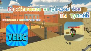 Разоблачение на рандом боя (оскорбил мою мать)