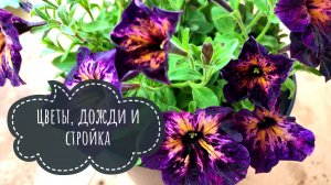 Влог 2/26: не можем начать стройку