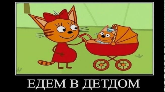 три кота демотиватор мужыкальные инструменты 🖼️