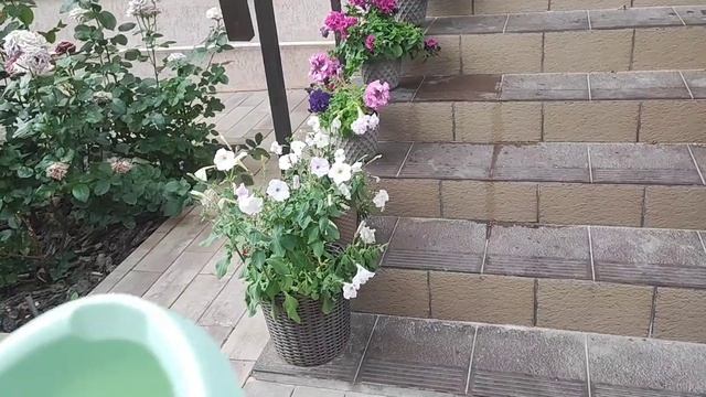 VLOG, приехали домой и куча дел. Привезли мясо и курицу из Кисловодска, перерабатываемых и не только смотреть онлайн