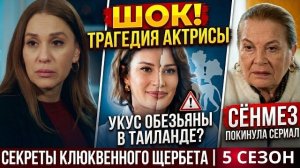 Клюквенный щербет - Новые актеры | Загадочная смерть турецкой актрисы после отпуска