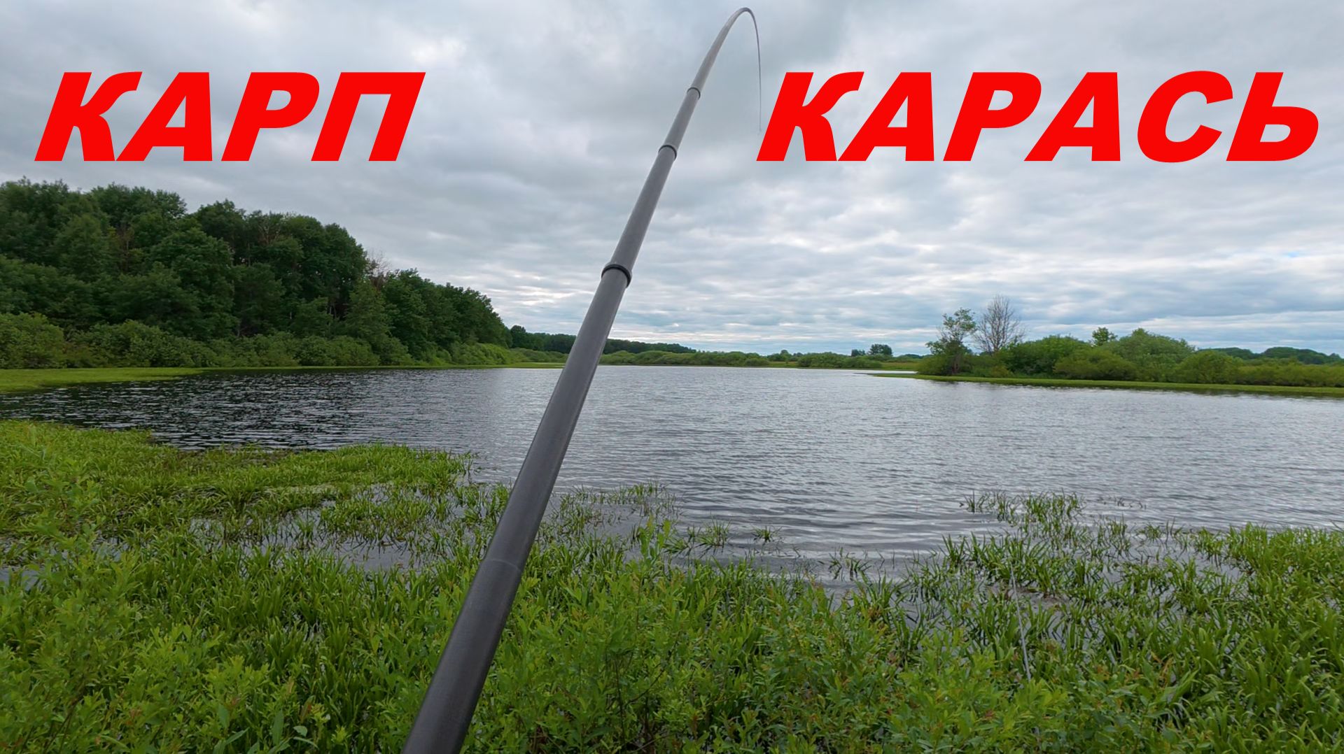 РЫБА РВЕТ СНАСТИ! Дикий карп и карась на озере / Экстремальная рыбалка смотреть онлайн