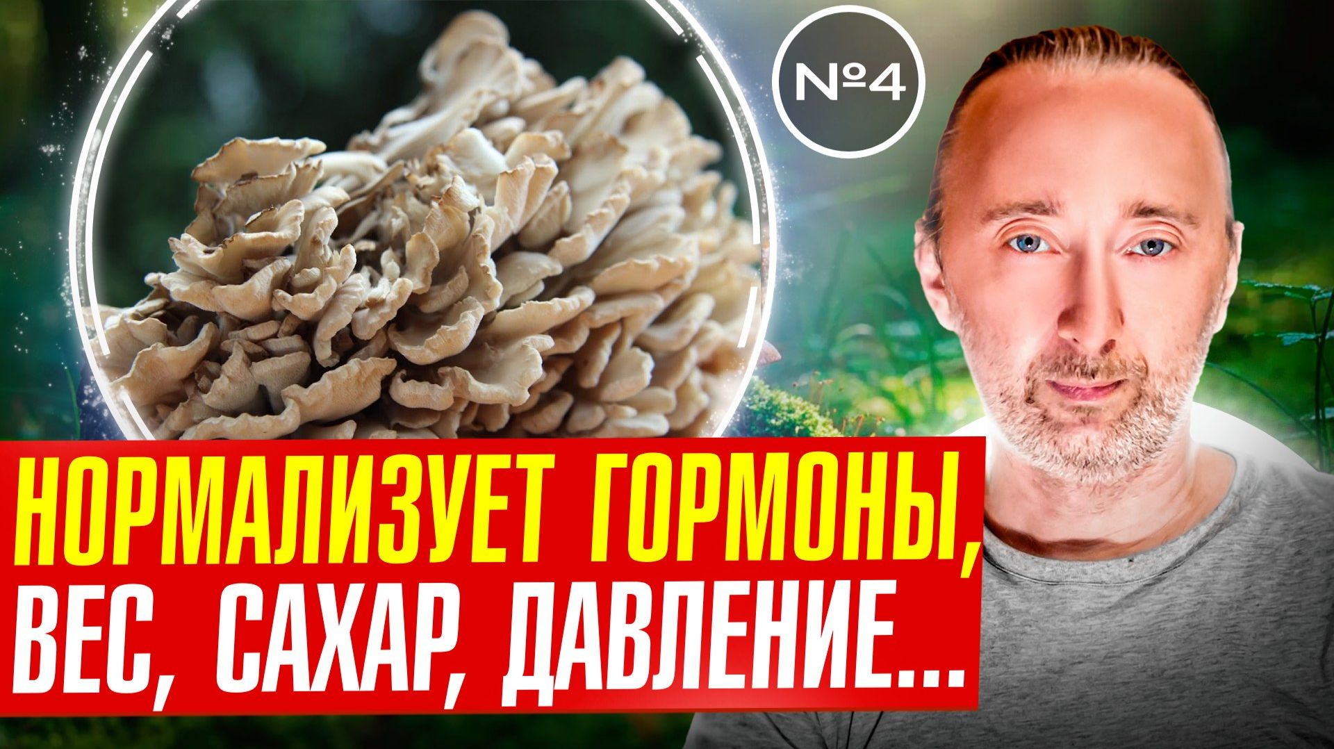 Гриб Мейтаке: полный разбор лечебных свойств!