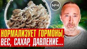 Гриб Мейтаке: полный разбор лечебных свойств!