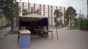 Югорчанам рассказали, как должны работать уличные торговые точки