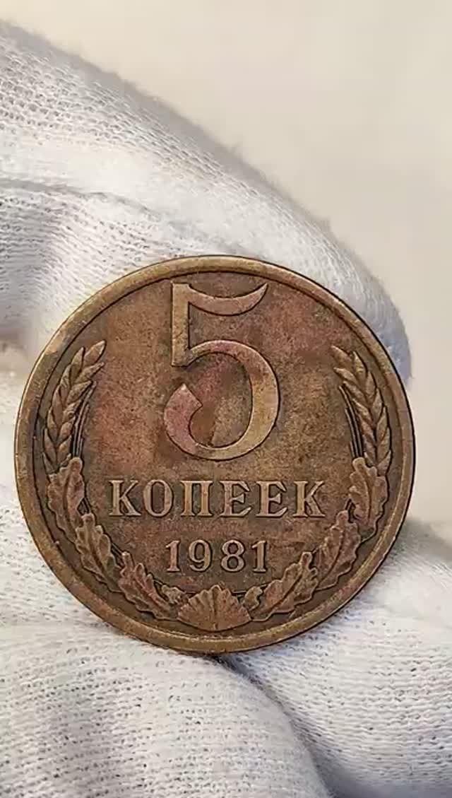 5 копеек 1981 года. Цена стоимость монеты разновидности #coin #история