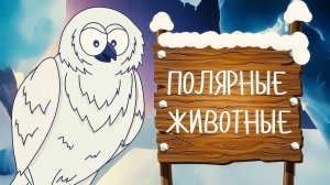 ПОЛЯРНЫЕ ЖИВОТНЫЕ! Учим животных - развивающие мультики для детей