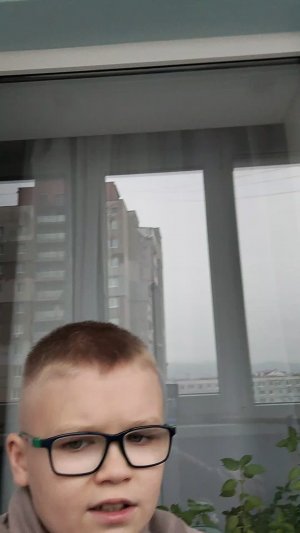 гигантский портрет Незнайки