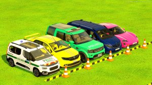 ТРАНСПОРТИРОВКА ПОЛИЦЕЙСКОЙ CITROEN, DACIA, FORD, MERCEDES И PORSCHE Часть 1