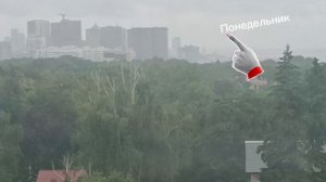 ХОРОШЕЙ НЕДЕЛИ. ПОЗИТИВНЫЕ МОМЕНТЫ ЖИЗНИ. ПУСТЬ ВСЁ БУДЕТ ОТЛИЧНО👍👏😆.