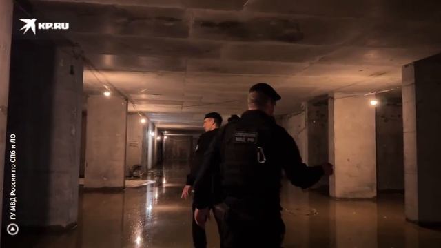 "Давай, слазий" Мигранты, прятавшиеся от полицейской проверки на одной из строек Петербурга, смотреть онлайн