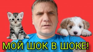 МОЙ ШОК В ШОКЕ! НОВЫЕ ЖИВОТНЫЕ. 7-Я КОЛЕСНИКОВЫ. ОБЗОР.
