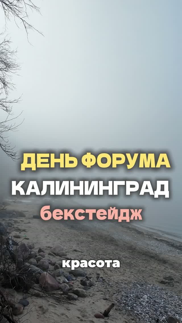 НЕ ЛЕГКА ЖИЗНЬ БЛОГЕРА
