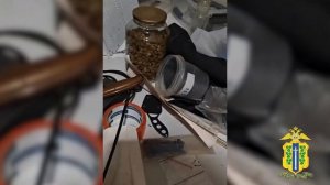 Наркоделец, заготовивший к продаже марихуану и грибы с псилоцином, разоблачён полицейскими в Липецке