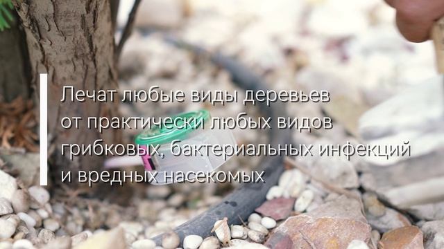 Внутристволовые инъекции смотреть онлайн