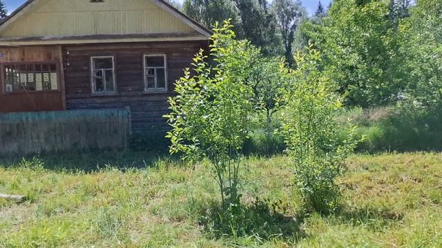 Дорога к дому. июнь 2026 смотреть онлайн