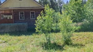 Дорога к дому. июнь 2026