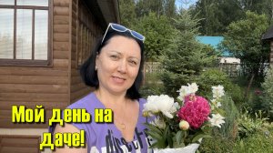 Мою машину, полю малину. Одна на даче. Свободный и продуктивный день