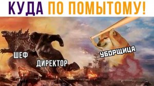 Куда по помытому! Приколы