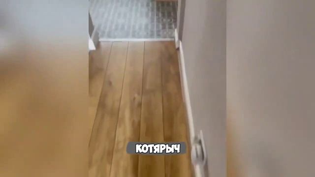 Смех, юмор, ржачь. Часть 7 смотреть онлайн