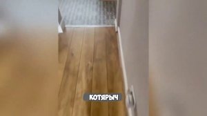 Смех, юмор, ржачь. Часть 7